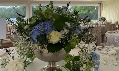 Image-07-06-2019-at-10.35-10