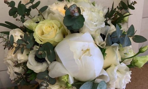 Image-07-06-2019-at-10.39-8-1